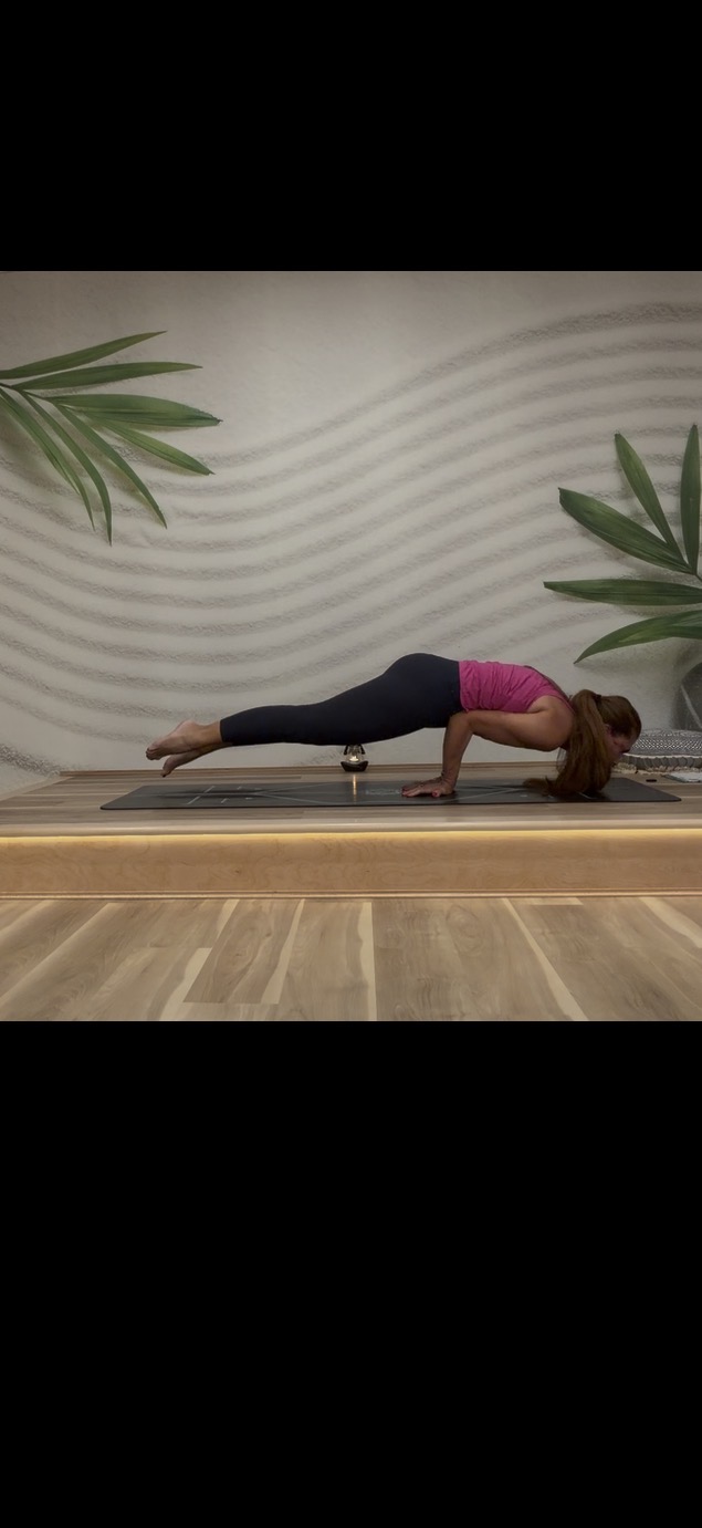 Forearm hover pose on the mat