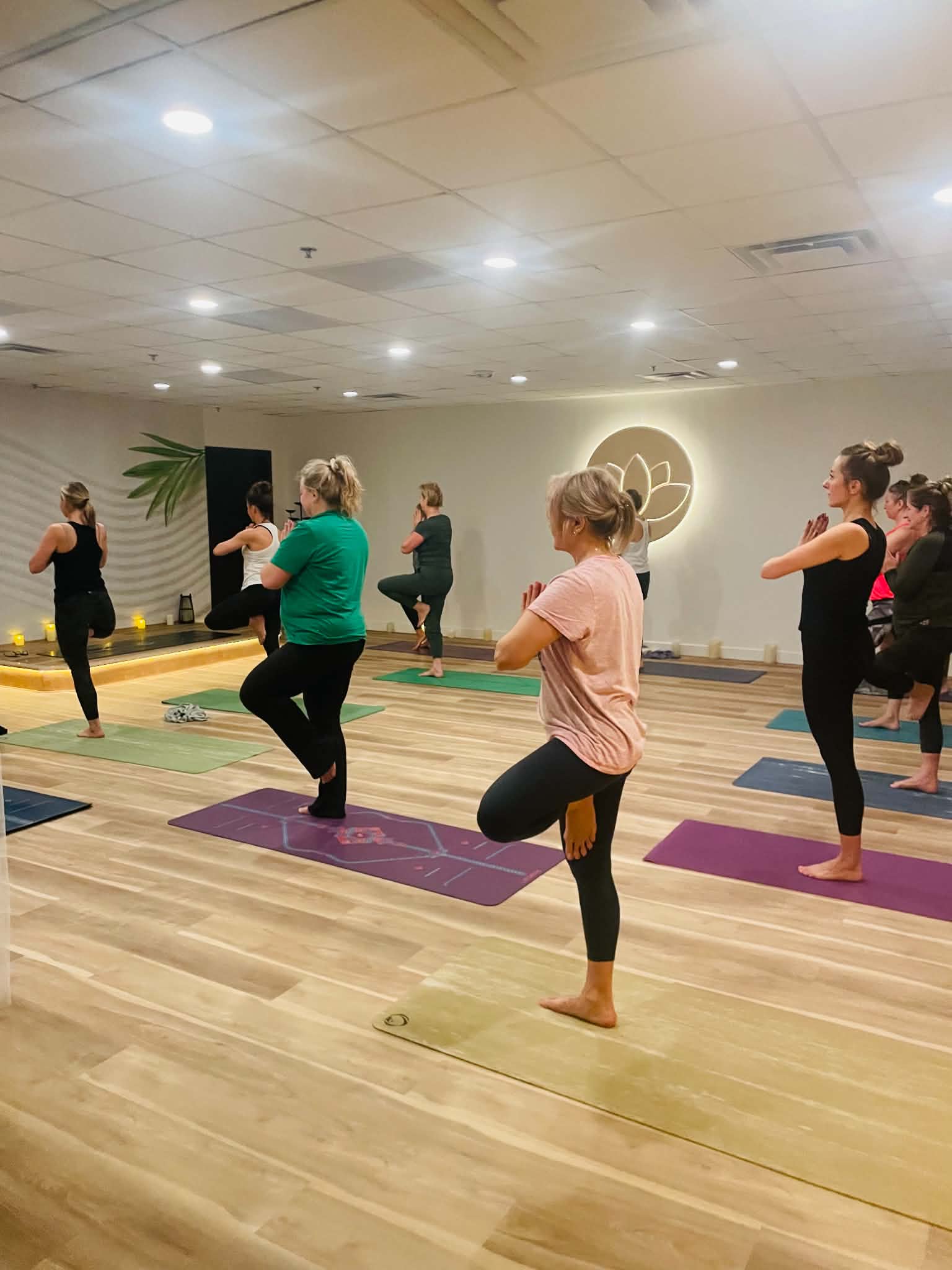 Tree pose class in the lotus-sign room